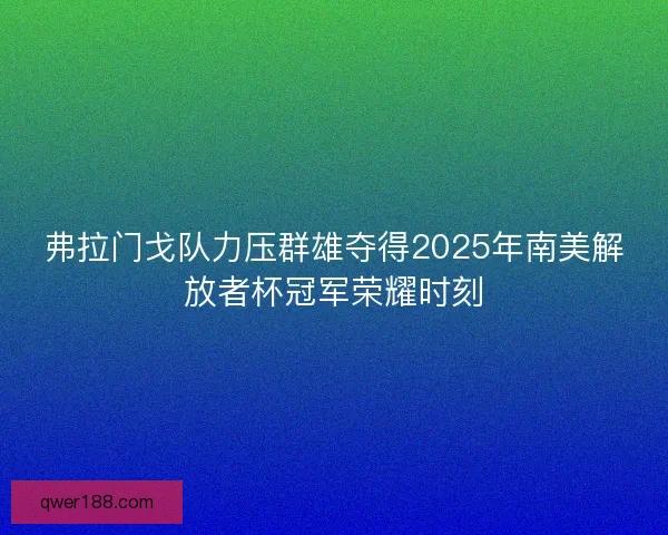 弗拉门戈队力压群雄夺得2025年南美解放者杯冠军荣耀时刻 弗拉门戈队力压群雄夺得2025年南美解放者杯冠军荣耀时刻